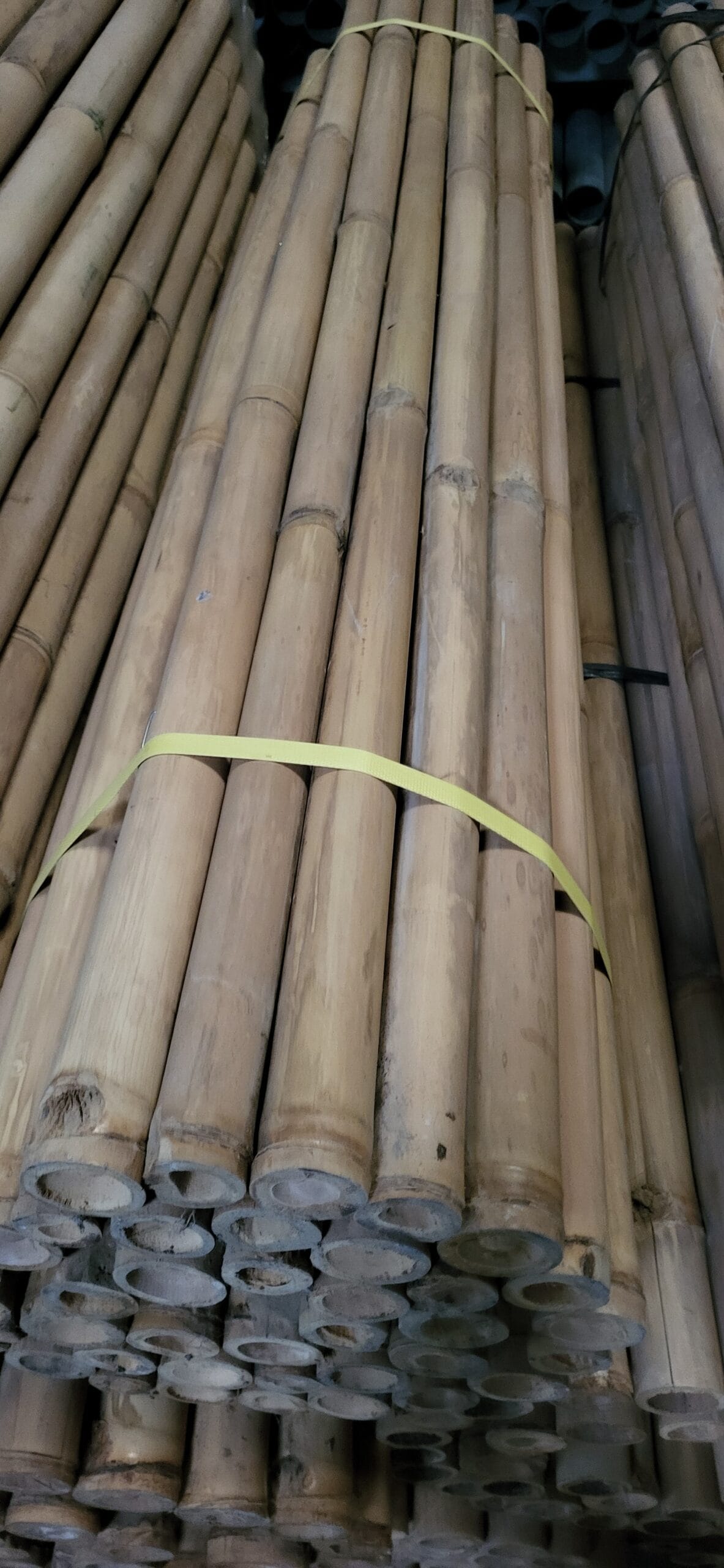 Clôture bambou naturel 40-60mm 3 Clôture bambou naturel 40-60mm – Image 3